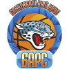 https://img.jingoptc.com/img/basketball/team/9008e0eb5cdc9f3e587e5838c6201832.png